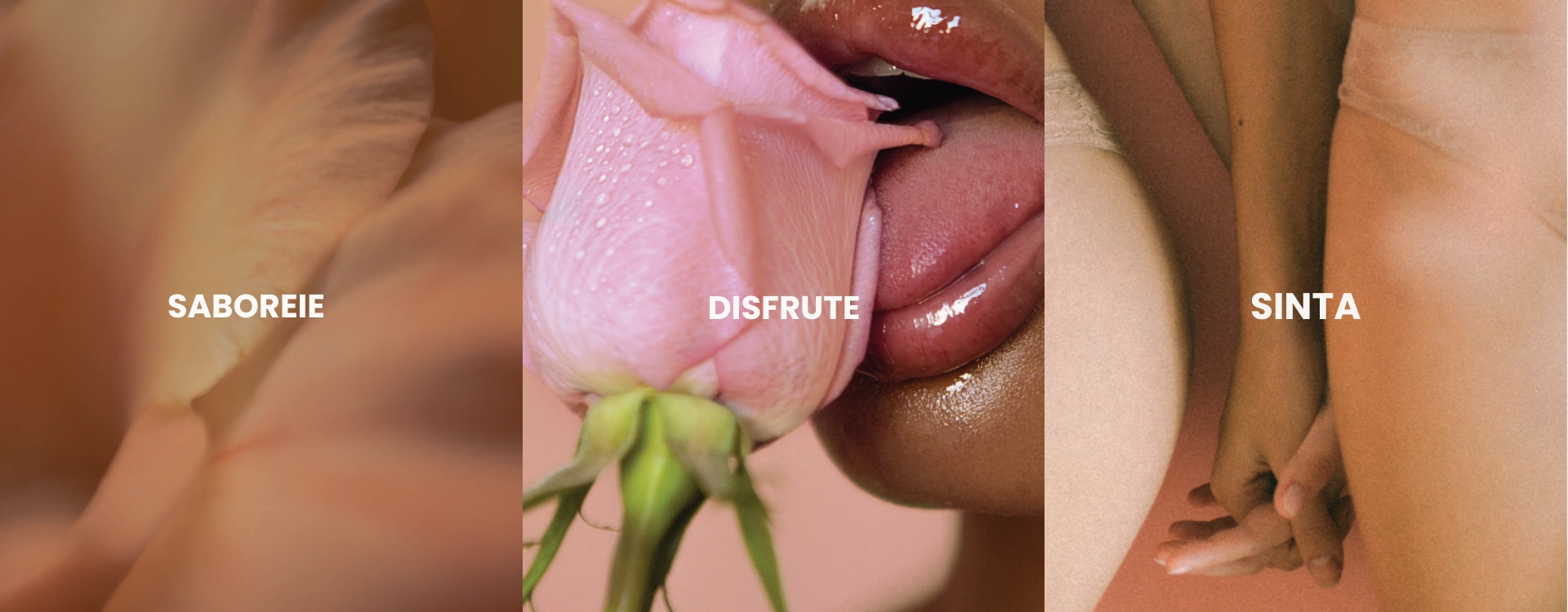 14 de fevereiro dia de são valentim